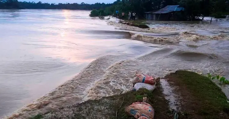 মৌলভীবাজারে দুই নদীর বাঁধ ভাঙনে পানিবন্দি ১৫ হাজার মানুষ