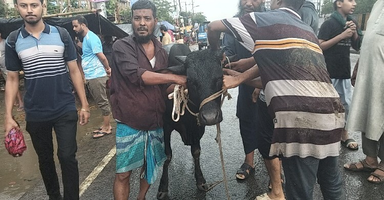 বাবা-মায়ের নামে কোরবানি করলে নিজের কোরবানি আদায় হবে?
