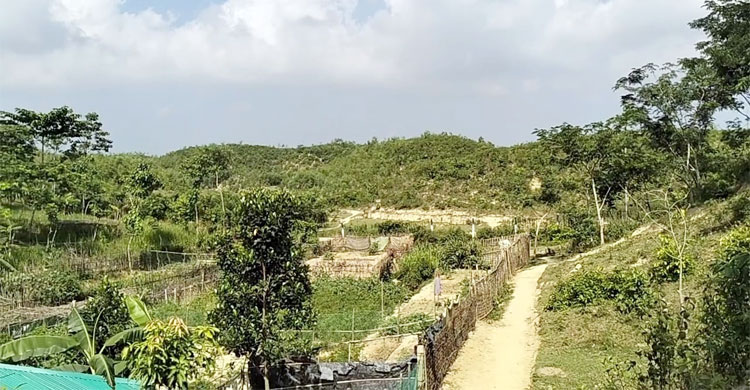 রোহিঙ্গা ক্যাম্পে নাশকতা চালাতে পাহাড়ে আস্তানা গাড়েন আরসা সদস্যরা 