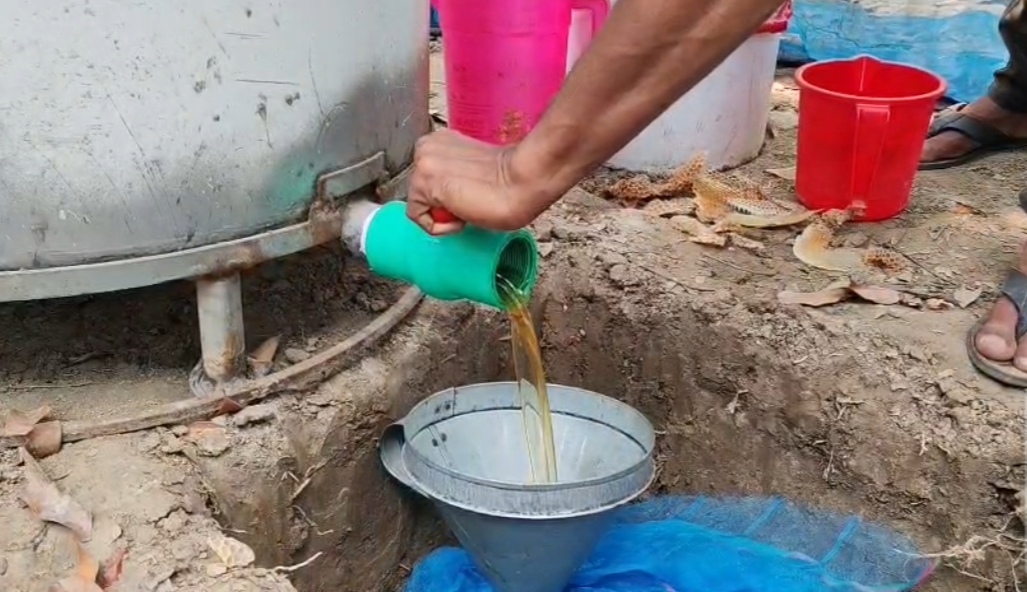 মৌচাষে ভাগ্য বদলের স্বপ্ন দেখছেন মাগুরার যুবক