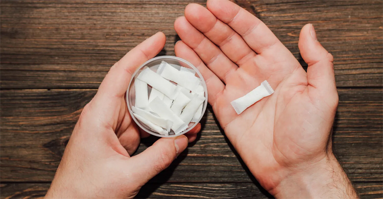 ফিলিপ মরিসকে নিকোটিন পাউচ উৎপাদনের অনুমোদন, বিশেষজ্ঞদের উদ্বেগ