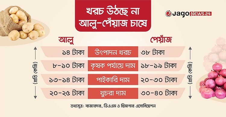 আলু-পেঁয়াজের মাঠে ‘হাসি’, কৃষকের ঘরে ‘কান্না’