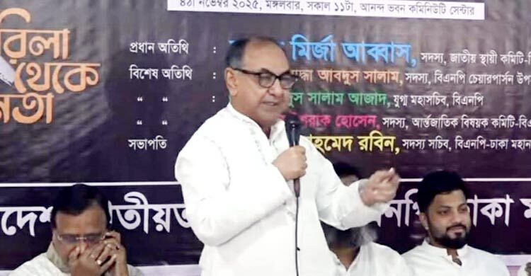 অন্তর্বর্তী সরকার দুটি দলের ওপর ভর করে টিকে আছে: আব্বাস