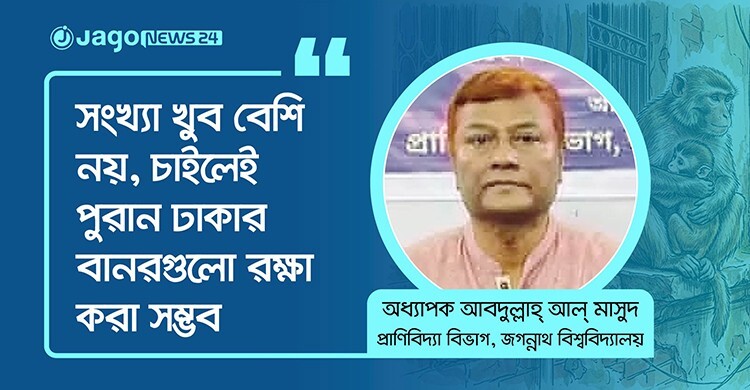 পুরান ঢাকার বানর সংরক্ষণ এখন জীববৈচিত্র্য রক্ষারও প্রশ্ন