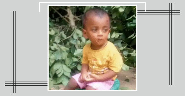 পুকুরে পড়ে যাওয়া খেলনা তুলতে গিয়ে প্রাণ গেলো শিশুর