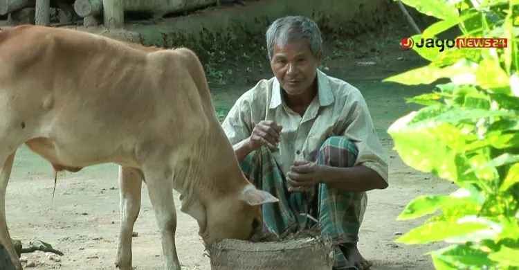 সনতনী পেশাতেই আটকে আছে নৃ-গোষ্ঠীরা