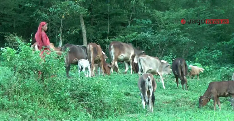 সনতনী পেশাতেই আটকে আছে নৃ-গোষ্ঠীরা