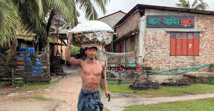 ইলিশের দামে চড়া বাজার