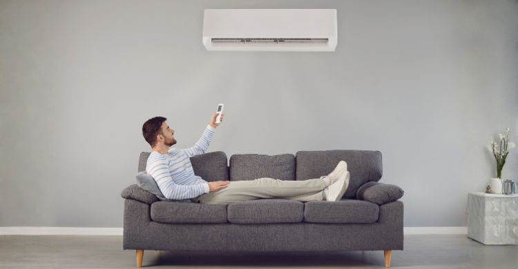 সারাদিন এসি ঘরে? জানুন ত্বক ও চুল রক্ষা করার সহজ উপায়