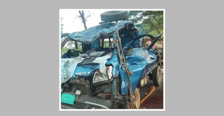 ট্রাক-পিকআপ সংঘর্ষে দুই মানুষের সঙ্গে মারা গেলো তিন ঘোড়াও
