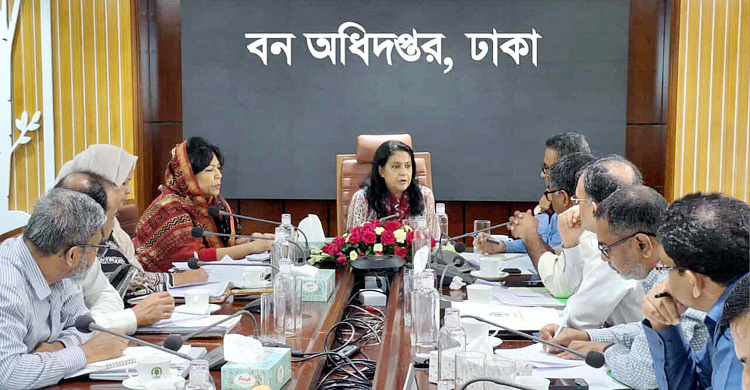 বনভূমি কাভারেজ ২০ শতাংশে উন্নীত করতে চায় সরকার