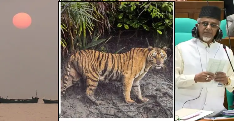 সাতক্ষীরার শ্যামনগরে পর্যটন কেন্দ্র নিয়ে জি এম নজরুল ইসলামের প্রশ্ন