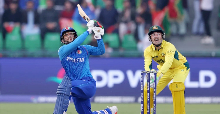 অস্ট্রেলিয়ার বিপক্ষে লড়াকু পুঁজি আফগানিস্তানের