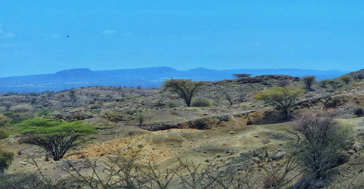 আফ্রিকার হৃদয় ছুঁয়ে যাওয়া দিন, অবশেষে মায়াময় বিদায়