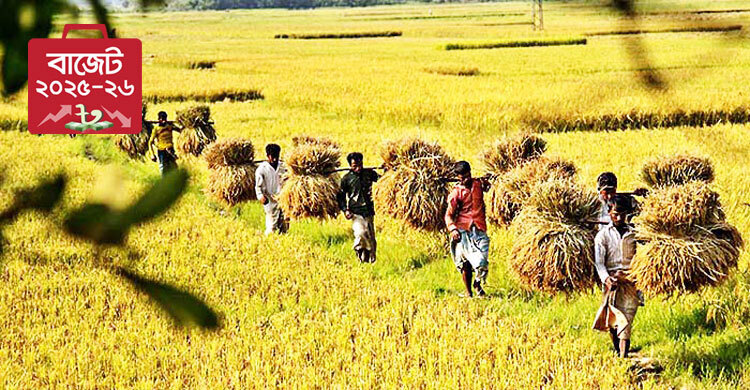 Budget 2025-26: Increased allocation for agriculture, food, and fisheries