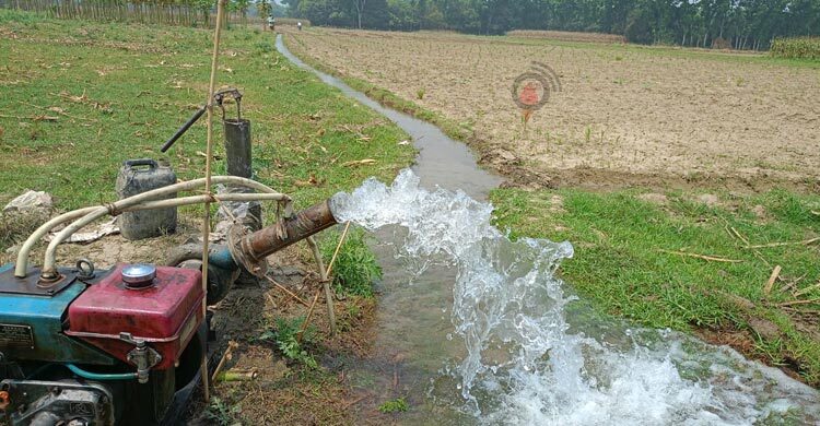 চুয়াডাঙ্গায় কৃষিতে বছরে ক্ষতি কোটি কোটি টাকা