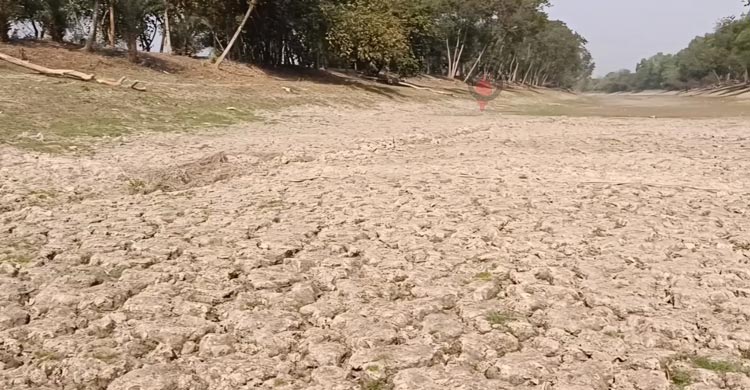 চুয়াডাঙ্গায় কৃষিতে বছরে ক্ষতি কোটি কোটি টাকা