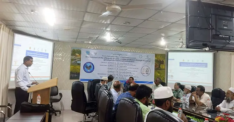 বাকৃবিতে মুরগির নতুন জাত উদ্ভাবন
