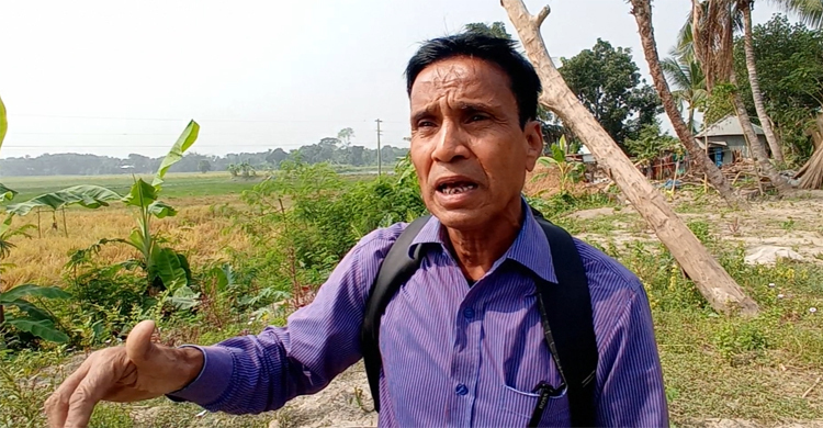 দলবল নিয়ে সৌদি প্রবাসীর ক্ষেতের ধান কেটে নিলেন ইউপি চেয়ারম্যান