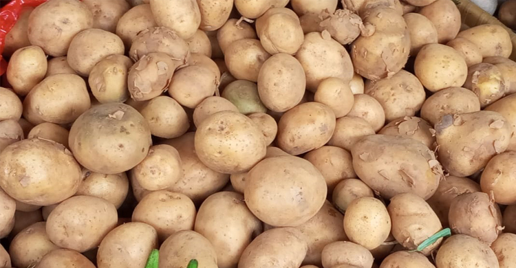 হিলিতে ভারতীয় নতুন আলু, কেজি ৮০