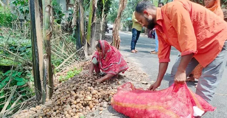 আলু এখন ‘গলার কাঁটা’