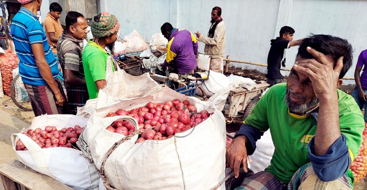 মাঠে বাম্পার ফলন, বাজারে দাম নেই আলুর