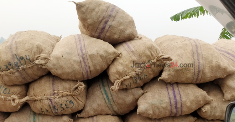 আলু এখন কৃষকের গলার কাঁটা