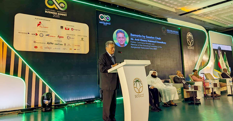 রেমিট্যান্স সাফল্য জিয়াউর রহমানের উদ্যোগের ফল: আমীর খসরু