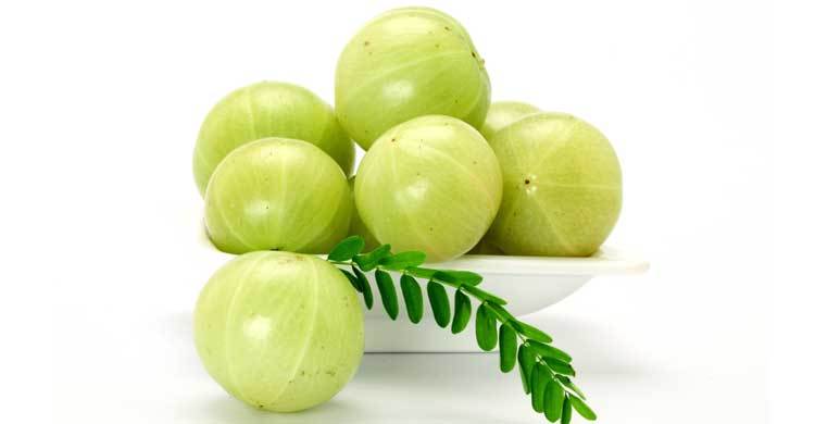 আমলকি