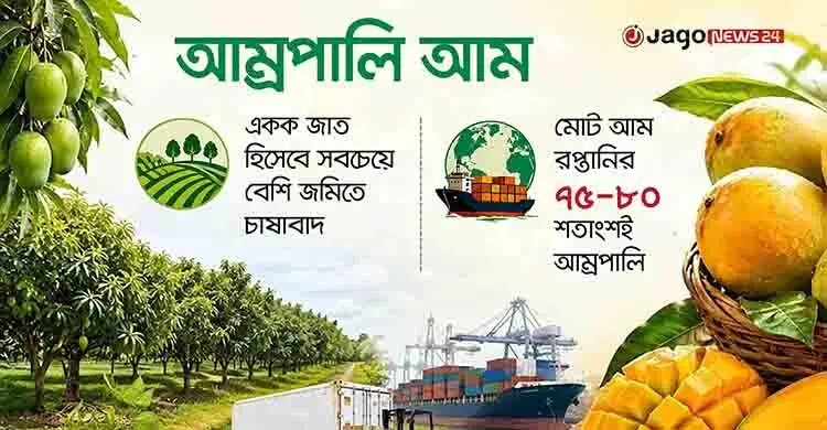 হিমসাগর-ল্যাংড়াকে হটিয়ে ‘সেরা’ আম এখন আম্রপালি