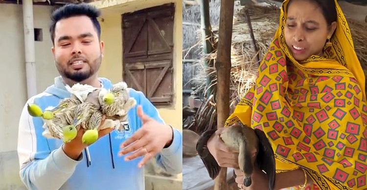 বক-বুনোহাঁস খাওয়ার ভিডিও প্রচার, ২ কন্টেন্ট ক্রিয়েটরের নামে মামলা