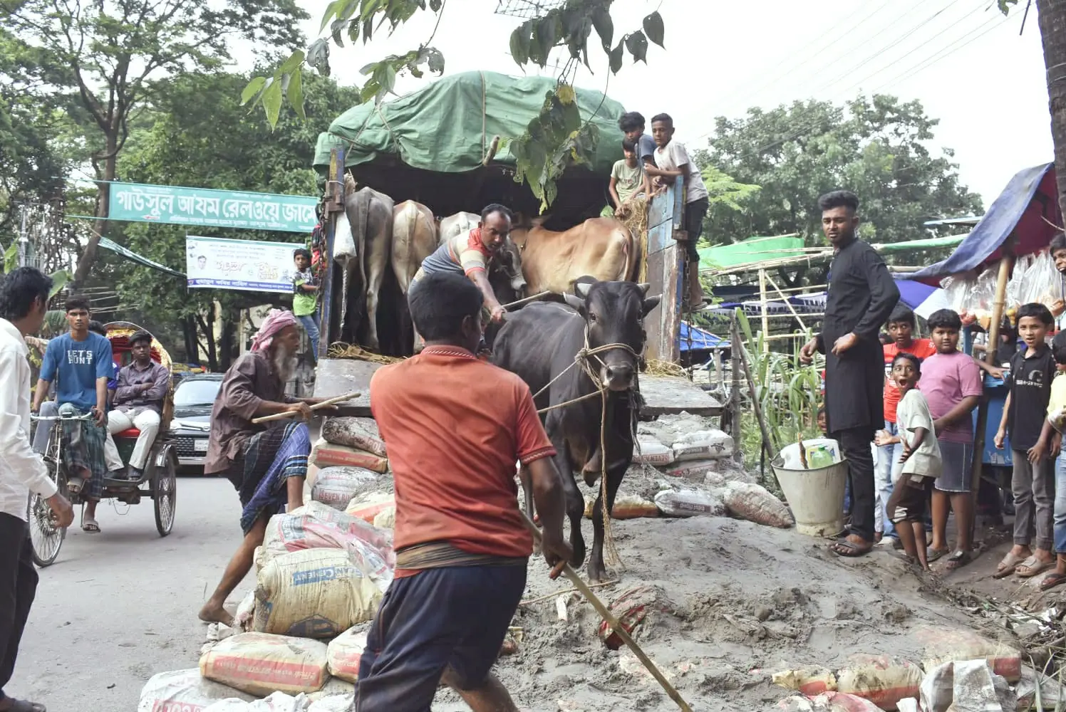 পশুর হাটে যাওয়ার আগে জেনে নিন করণীয়-বর্জনীয়