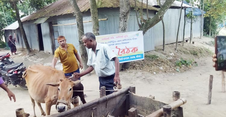 গাইবান্ধায় ৮০ পয়সার অ্যানথ্রাক্সের ভ্যাকসিনের দাম ২০ টাকা
