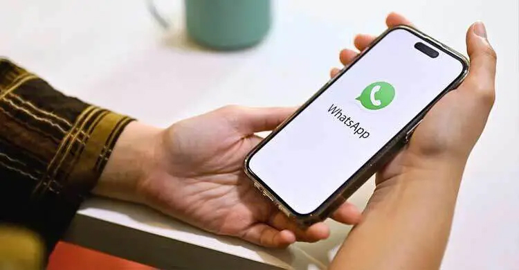 হোয়াটসঅ্যাপ গ্রুপের চ্যাট নোটিফিকেশন মিউট করা যাবে