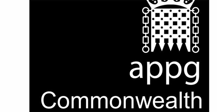 UK parliamentary group withdraws report criticising interim govt