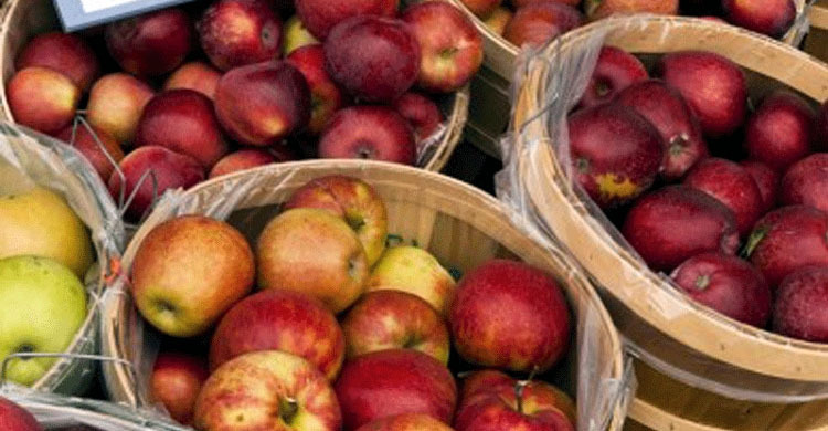 নিলামে আপেলের দাম উঠলো ২০ টাকা কেজি