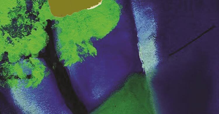 আশ্বিনে শিউলি ফোটে