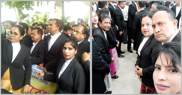 সুপ্রিম কোর্টে আওয়ামীপন্থি আইনজীবীদের বিক্ষোভ