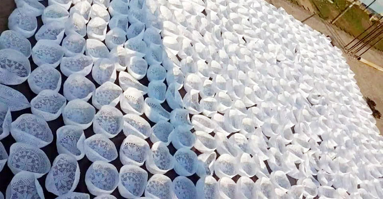 বগুড়া হবে পূর্ণাঙ্গ রপ্তানি হাব