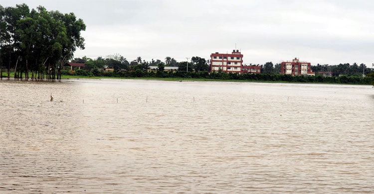 পাহাড়ি ঢলে আখাউড়ার ২০ গ্রাম প্লাবিত