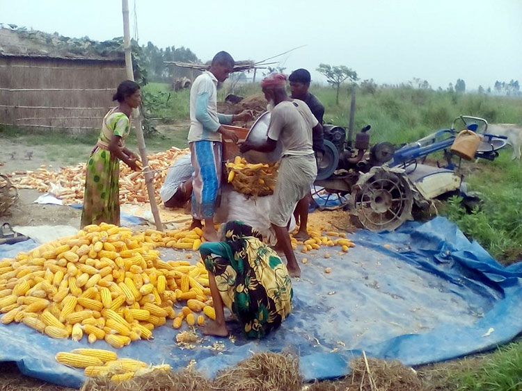 বগুড়া হবে পূর্ণাঙ্গ রপ্তানি হাব