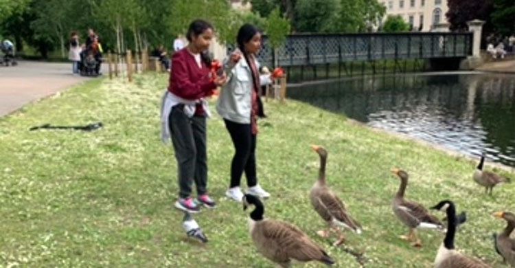 ব্রিটেনে অভিবাসীদের বিরুদ্ধে রাজার রাজহাঁস খাওয়ার অভিযোগ