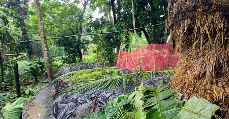 কান্না থামছে না স্বজনদের, অধরা মাইক্রোবাস চালক