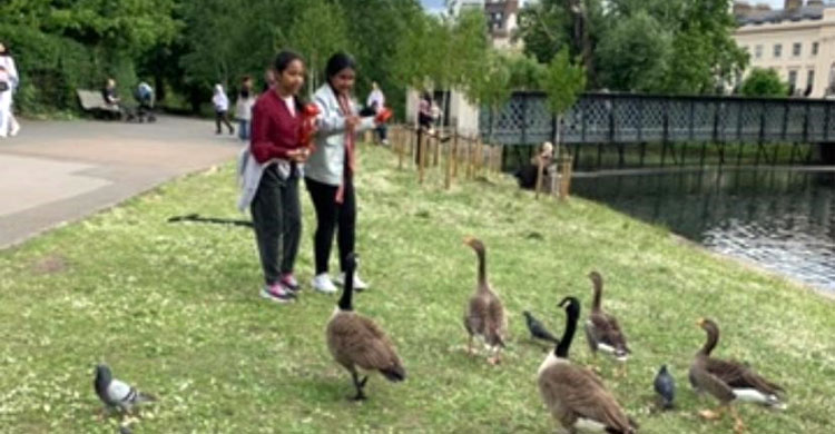 ব্রিটেনে অভিবাসীদের বিরুদ্ধে রাজার রাজহাঁস খাওয়ার অভিযোগ