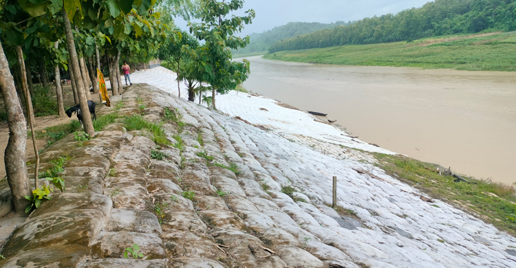 ভাঙন থেকে রক্ষা চান সাঙ্গুপাড়ের বাসিন্দারা