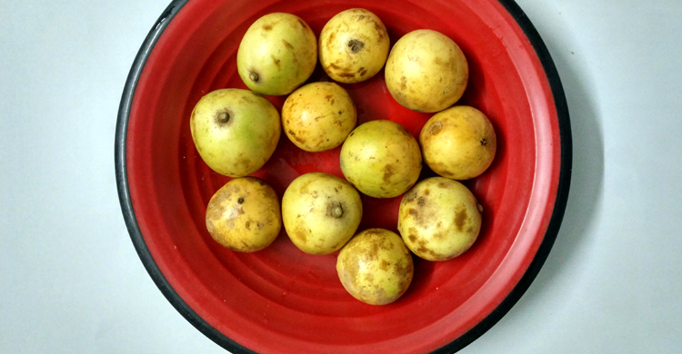 লটকন খাওয়ার আগে যে বিষয়গুলো জানা দরকার