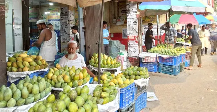 বুড়িগঙ্গার তীরে ফলের সাম্রাজ্য
