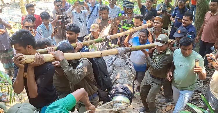 সরানো হলো খানজাহান আলীর মাজারের দিঘির কুমিরটি