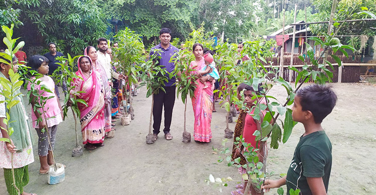 বিশুদ্ধ বাতাসে সন্তান লালনে গ্রামজুড়ে গাছের চারা বিতরণ মা-বাবার