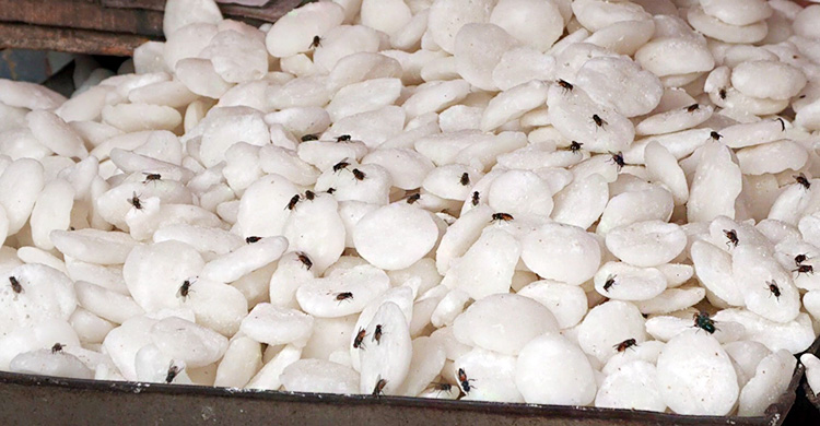 জনবল সংকটে অধিদপ্তর, বিপাকে ভোক্তা